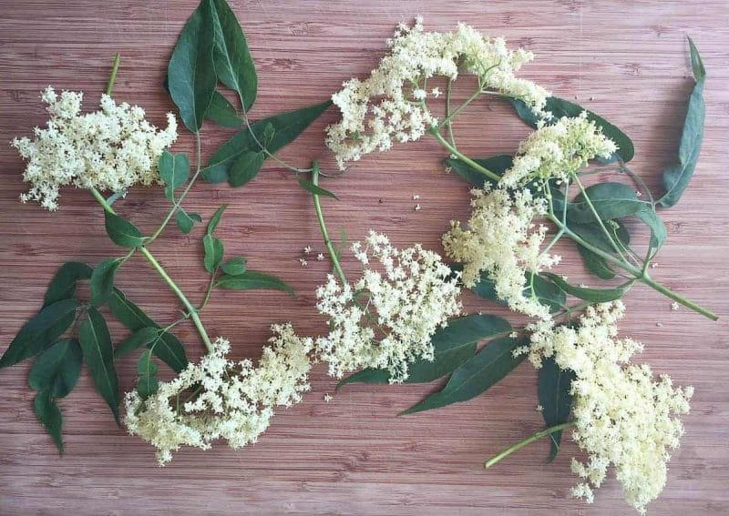 fresh elderflowers on a cutting board