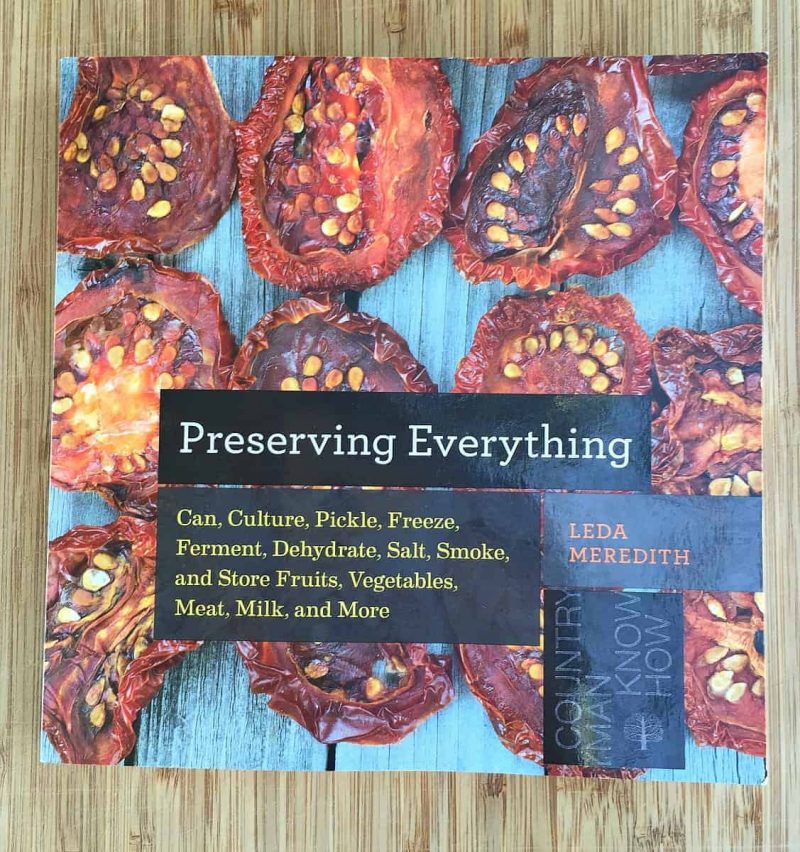 preserving everything book by leda meredith