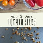 Two bowls of fresh tomatoes and dried fermented tomato seeds on a plate.