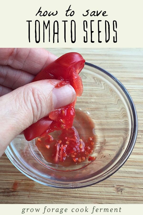 A woman squeezing seeds out of a fresh tomato into a small glass bowl.