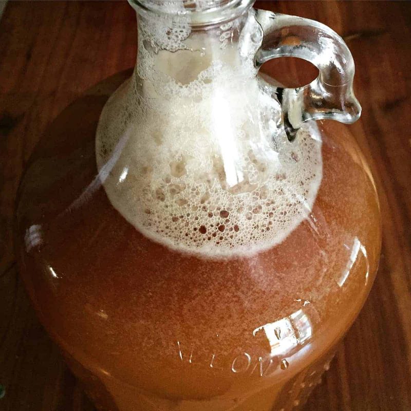 a one gallon jug of hard cider with wild yeast bubbling