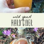 Wild yeast fermented hard cider in a gallon jug and in a glass jar.