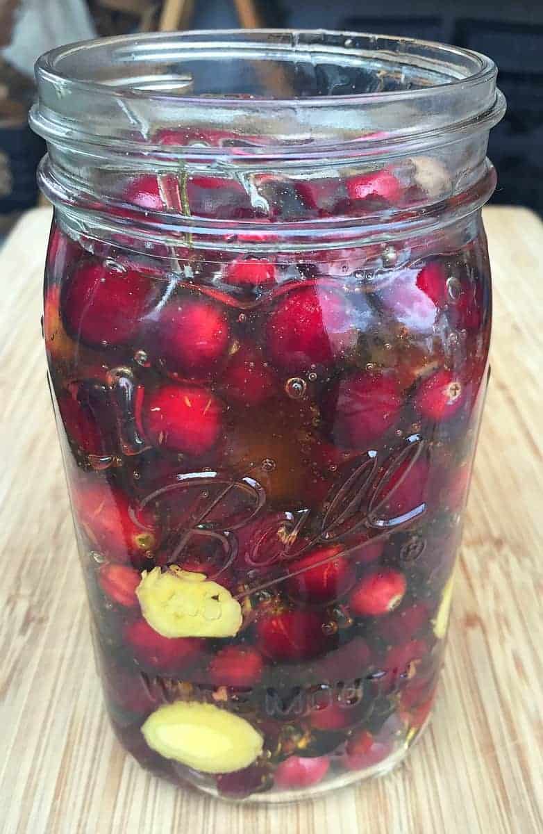 cranberries, ginger, and honey in a quart jar
