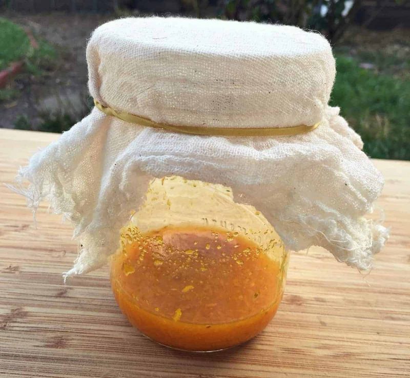 a jar with turmeric bug covered with cheesecloth