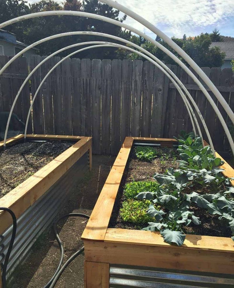 hoop-house-frame