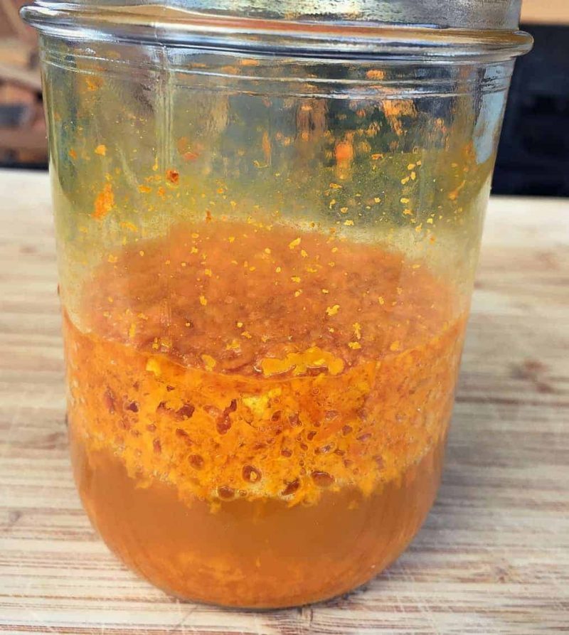 turmeric bug bubbles rising up in jar