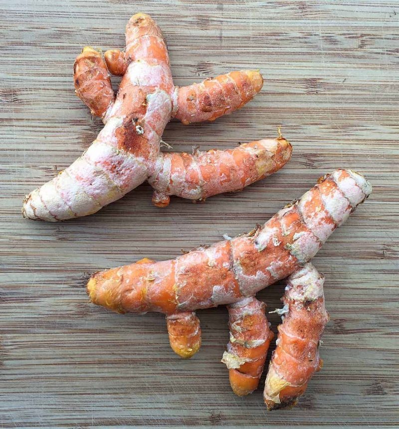 fresh turmeric roots