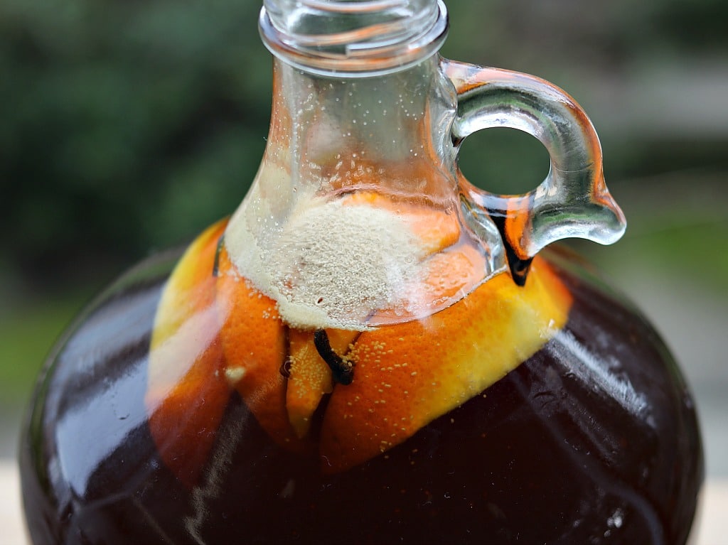 yeast sitting on the surface of the maple mead in the jug