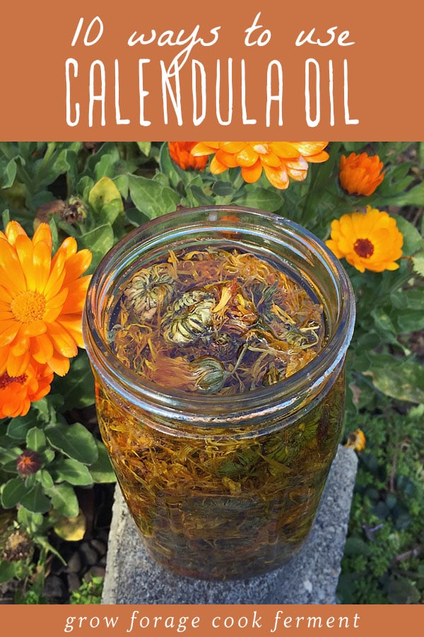 A jar of calendula infused healing herbal oil.