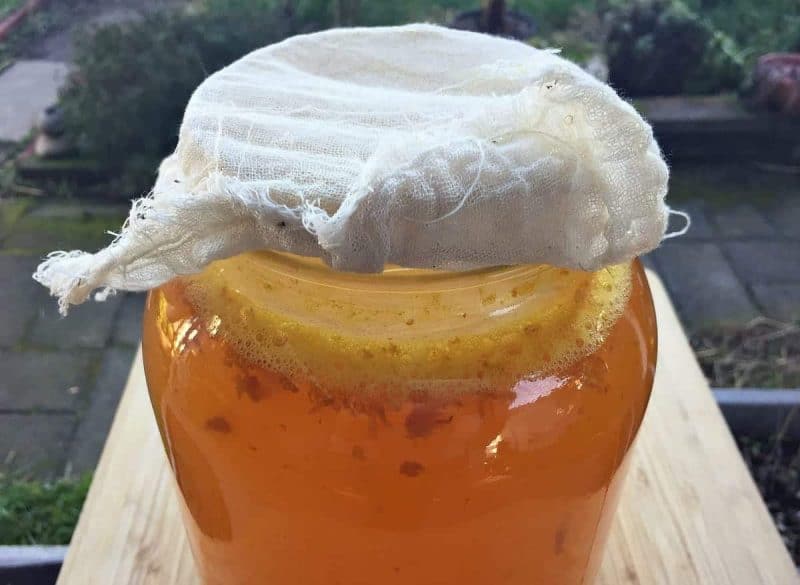 bubbles in the gallon jar of fermented turmeric soda