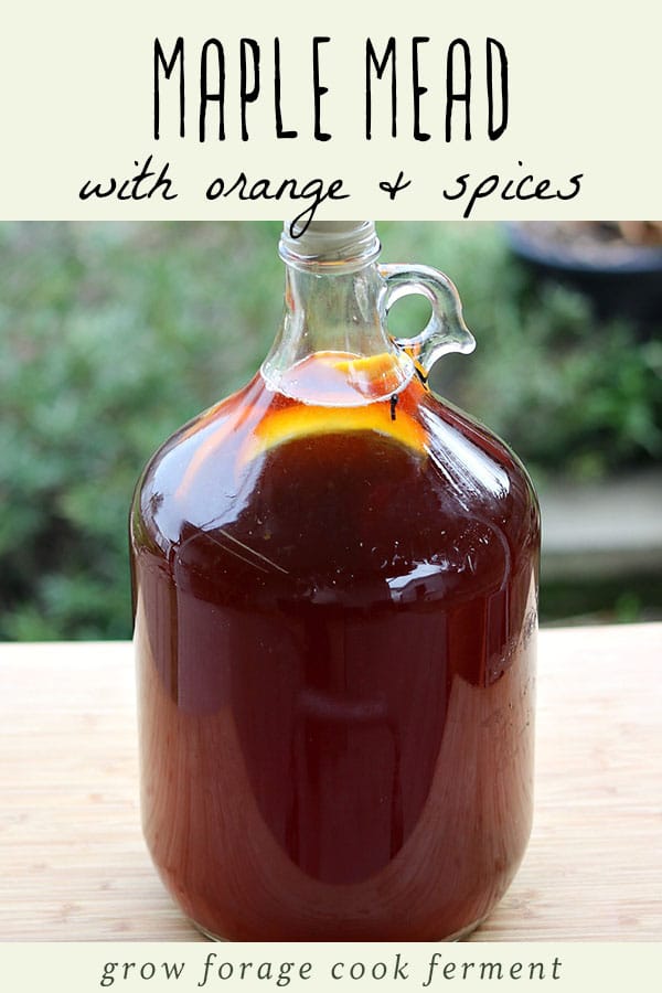 A jug of maple mead fermented with orange and spices.