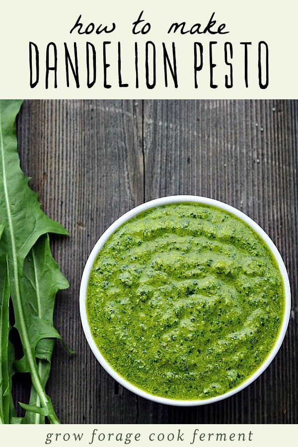 A bowl of dandelion pesto on a wood background with a bunch of dandelion greens.