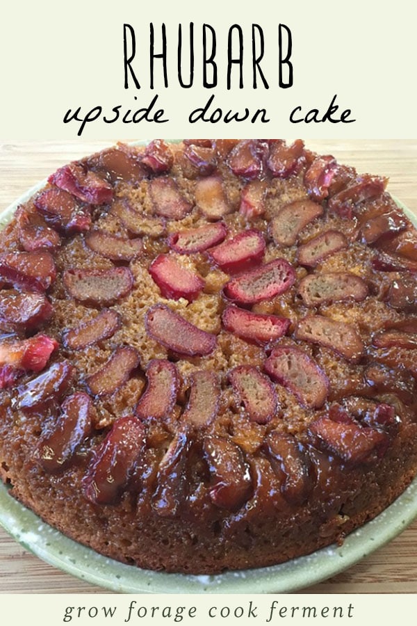 A whole rhubarb upside down cake on a blue plate.