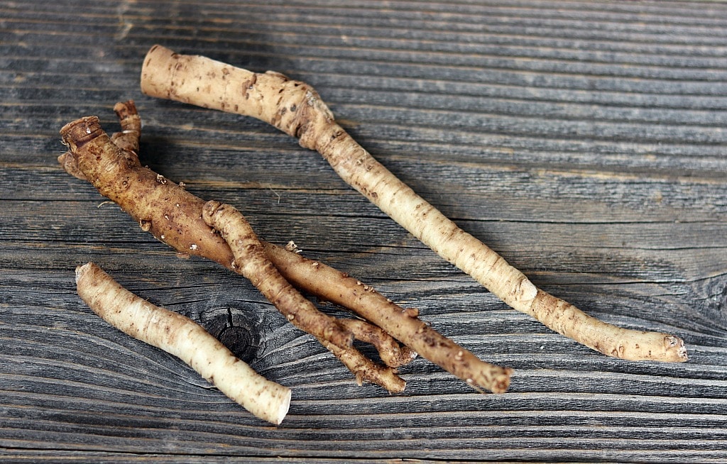 trimmed and cleaned dandelion roots