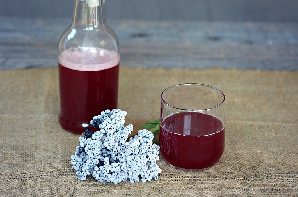 a glass of fermented elderberry soda