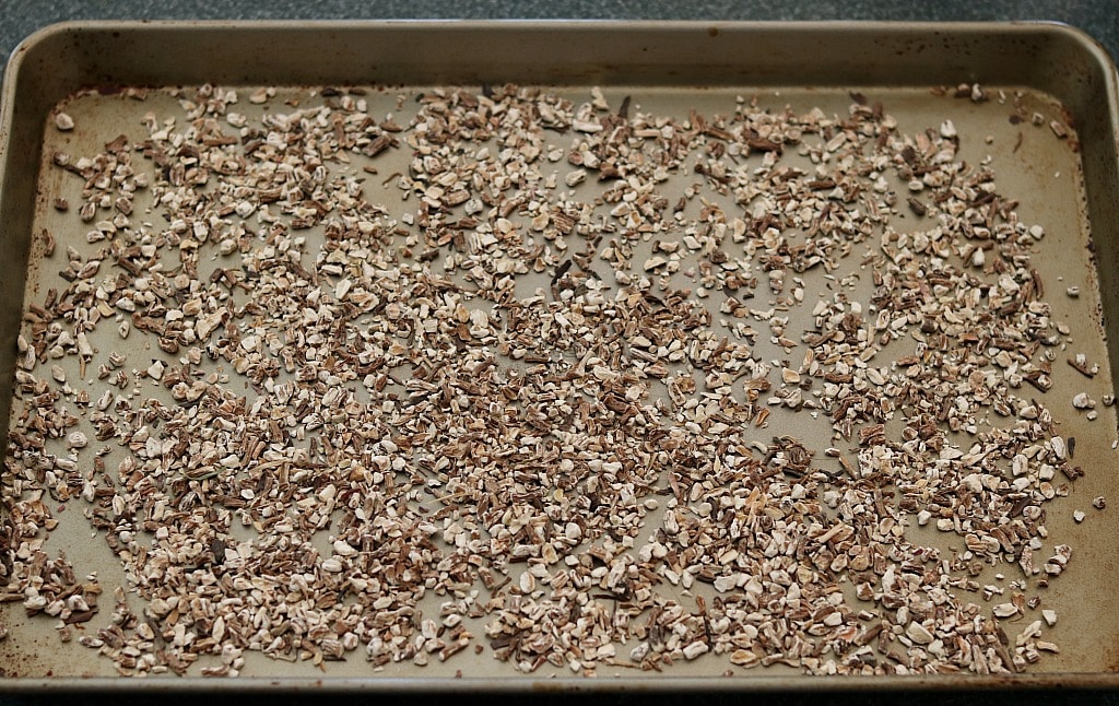 dried dandelion root pieces spread out on a baking sheet