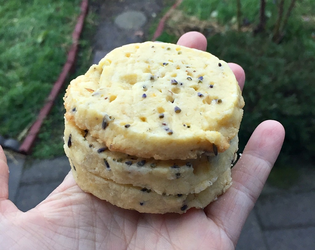 a hand holding a stack of lemon lavender shortbread cookies