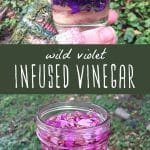 Wild violets infusing in a jar of vinegar, and a jar of finished wild violet infused vinegar.