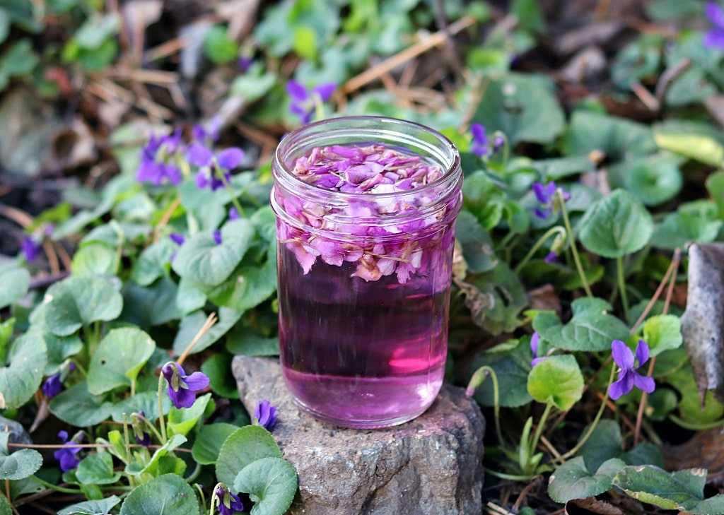 a jar of violet infused vinegar on a rock with violet flowers