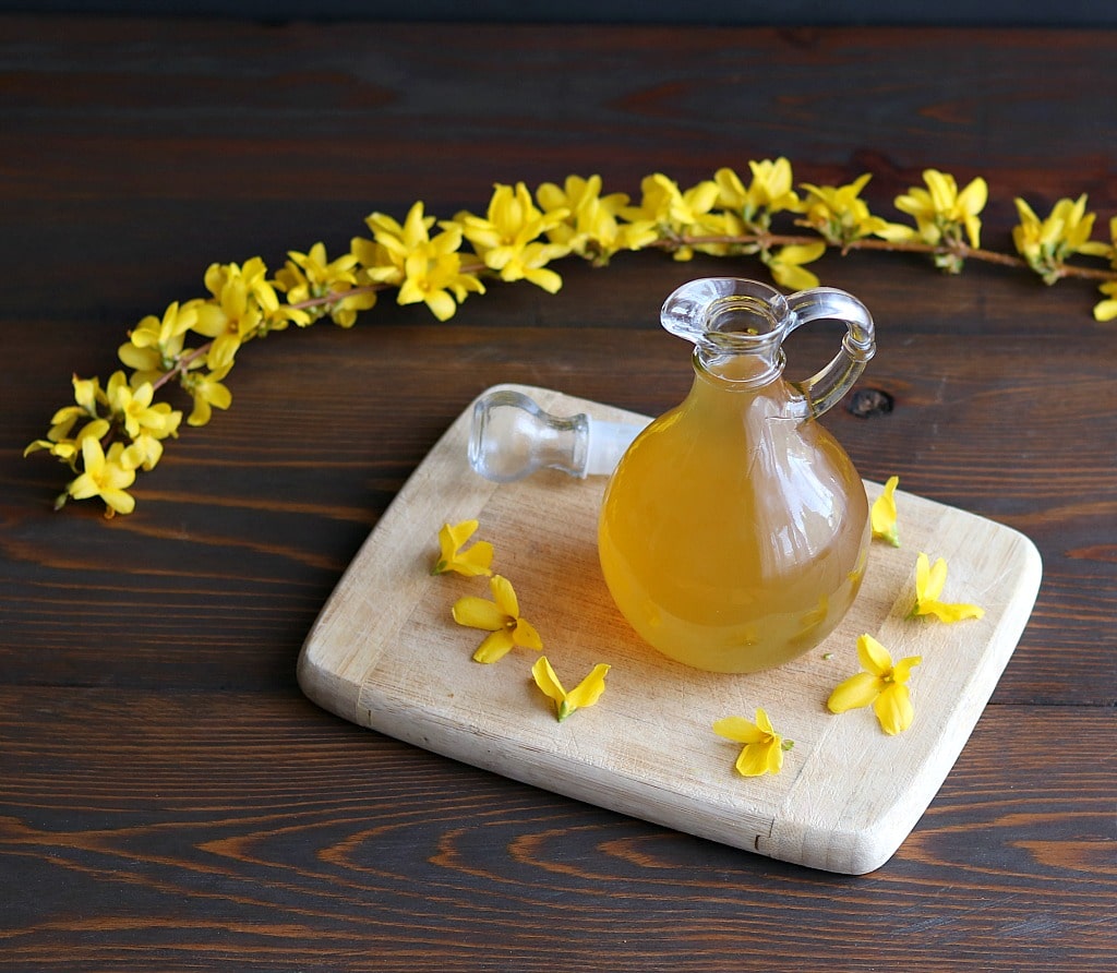 Forsythia syrup with a branch of fresh forsythia flowers