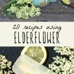 Elderflower tea and elderflower popsicles for a post on using elderflower.