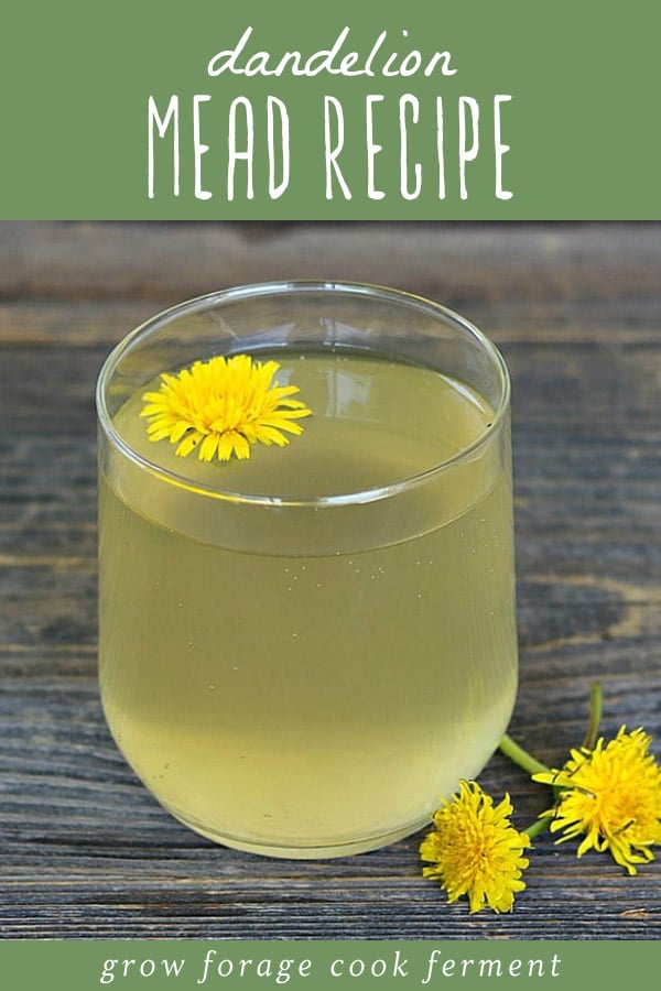 A glass of dandelion mead garnished with fresh dandelion flowers.