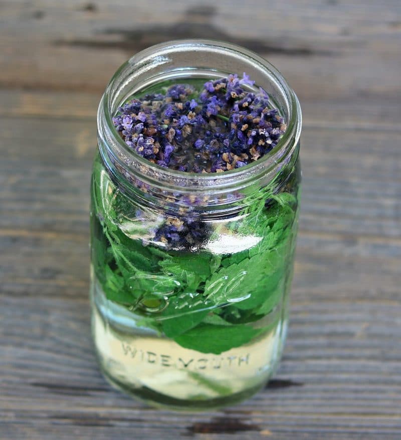 lavender and lemon balm tea steeping in a quart jar