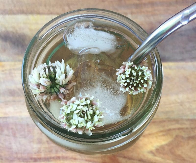 top view of white clover iced tea with a stainless steel straw