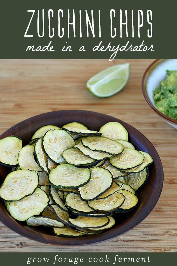 Dehydrator zucchini chips in a bowl with a side of guacamole.