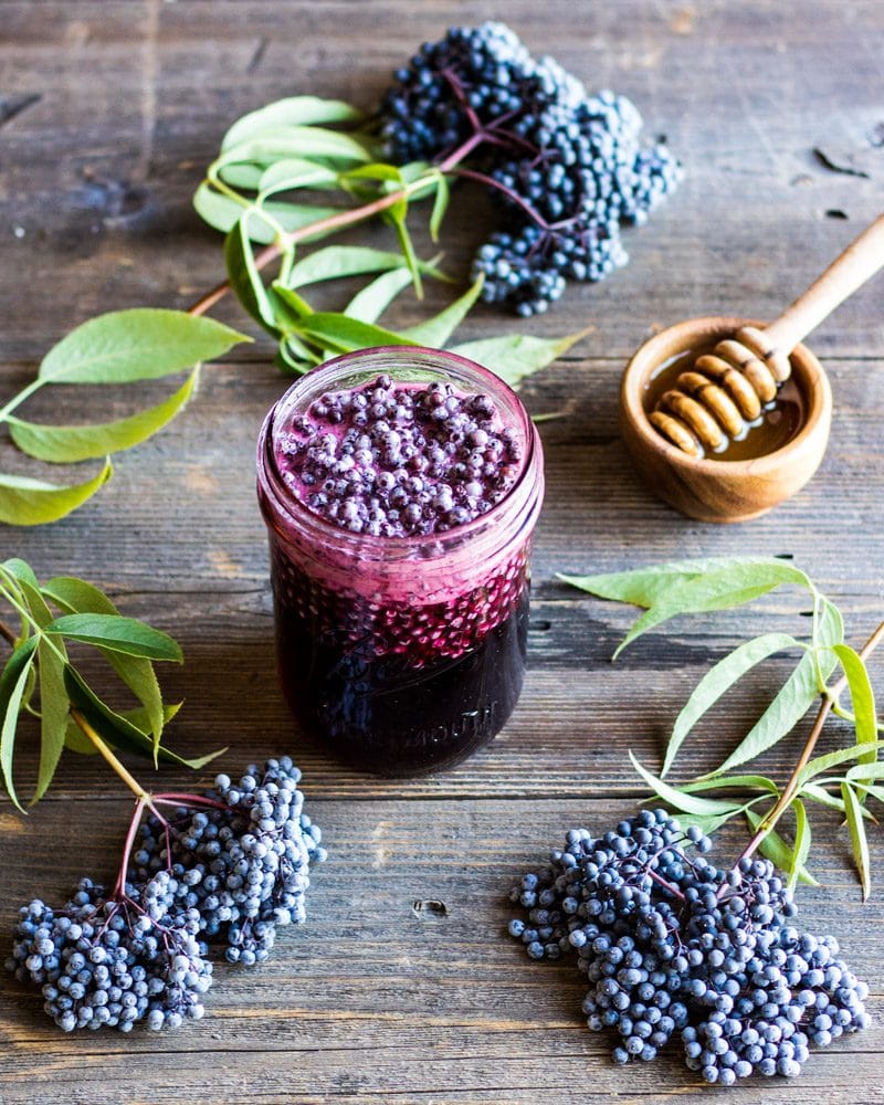 a jar of fermented elderberry honey with clusters of blue elderberries and a honey dipper