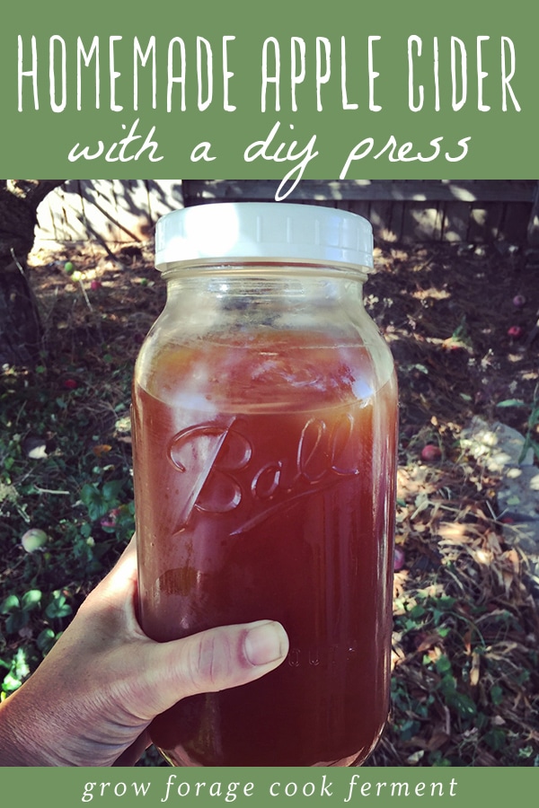 A person holding a mason jar of homemade apple cider made with a DIY press.