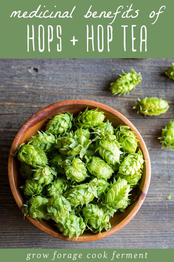 a wooden bowl of fresh green hops flower cones