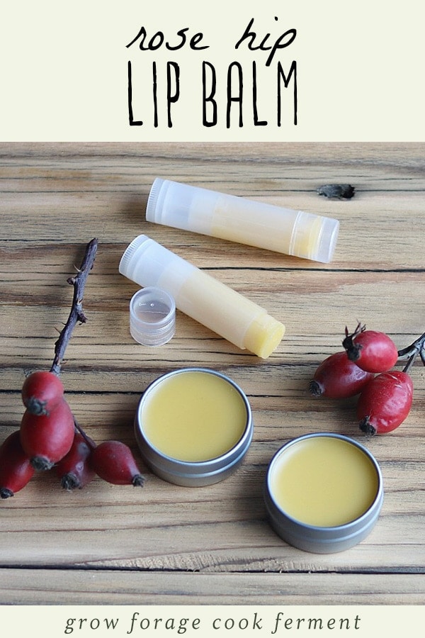 rose hip lip balm on a table with fresh rose hips