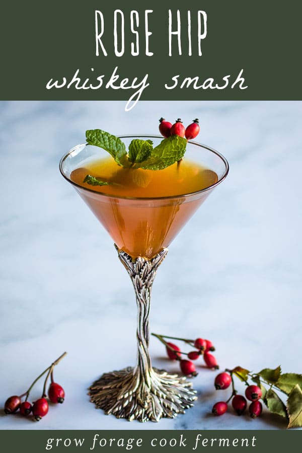 rose hip whiskey smash cocktail in a martini glass