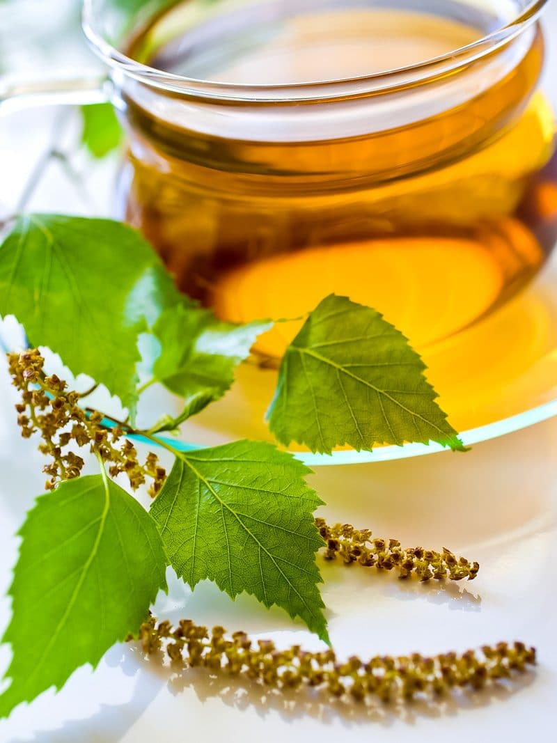 a mug of birch leaf tea