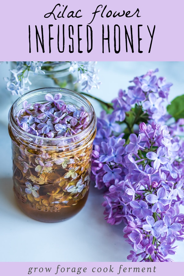 a jar of lilac flower infused honey with a lilac blossom on a table