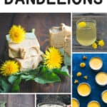 Dandelions Recipes