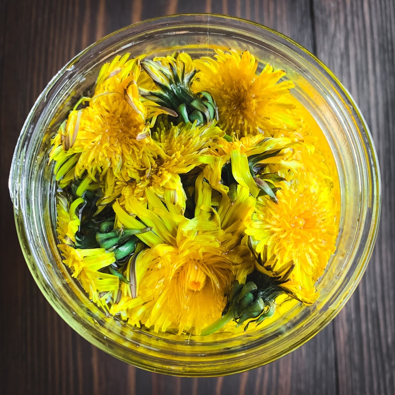 top view of dandelion flowers infusing in vinegar