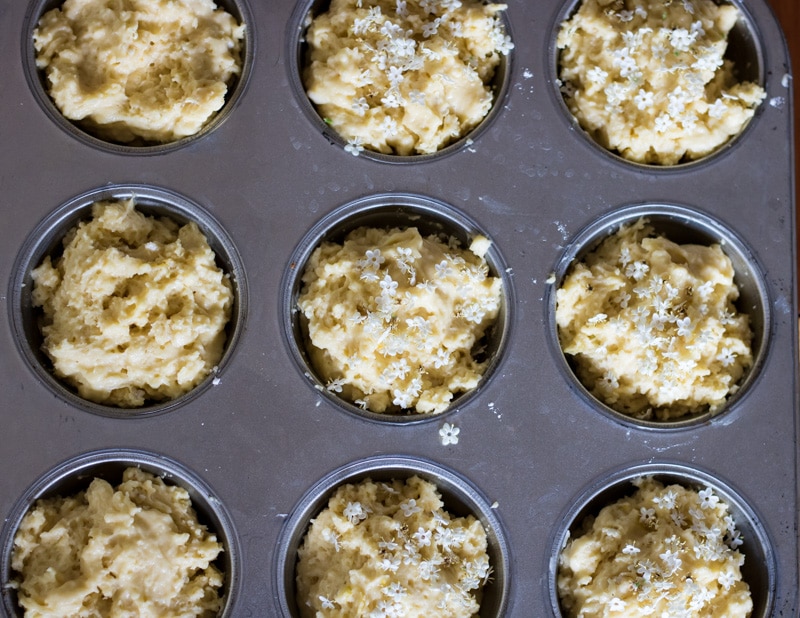 uncooked muffin batter in a muffin tin