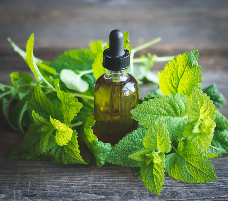 a tincture bottle with lemon balm