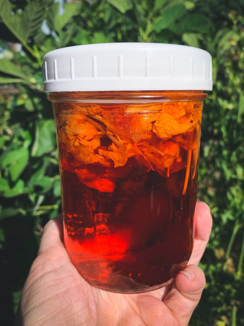a jar of bright red nasturtium vinegar