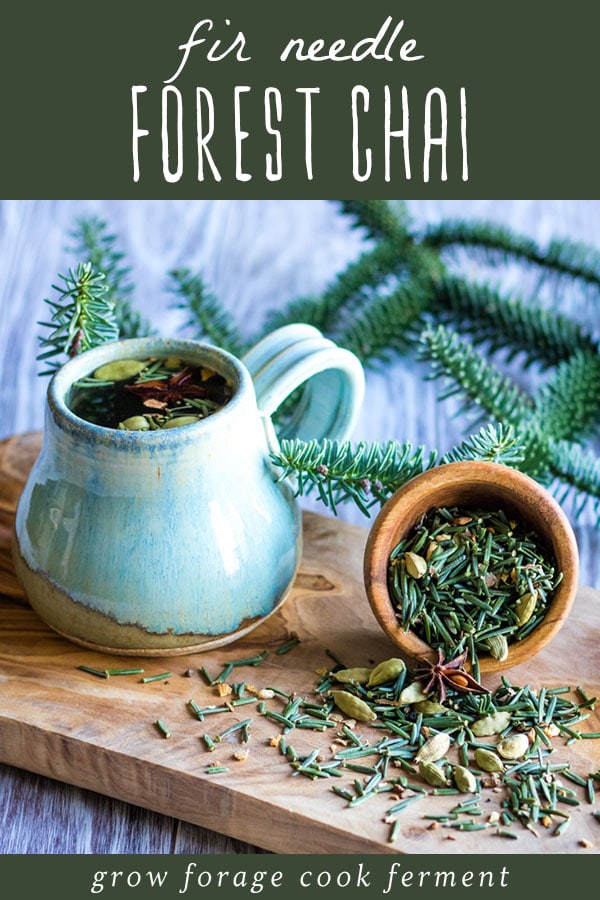 a mug of fir needle chai