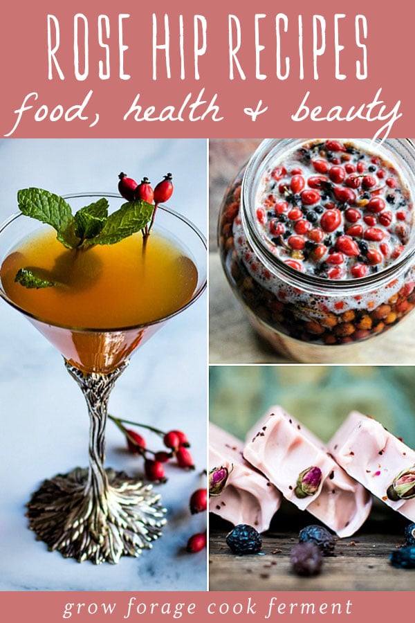 a collage of rose hip recipes