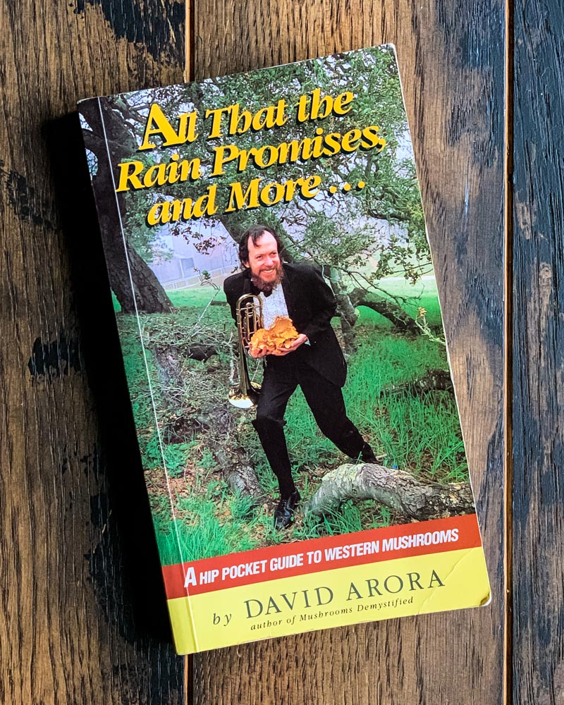 all that the rain promises and more mushroom foraging book