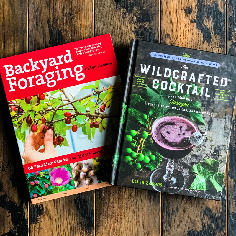 foraging books by ellen zachos