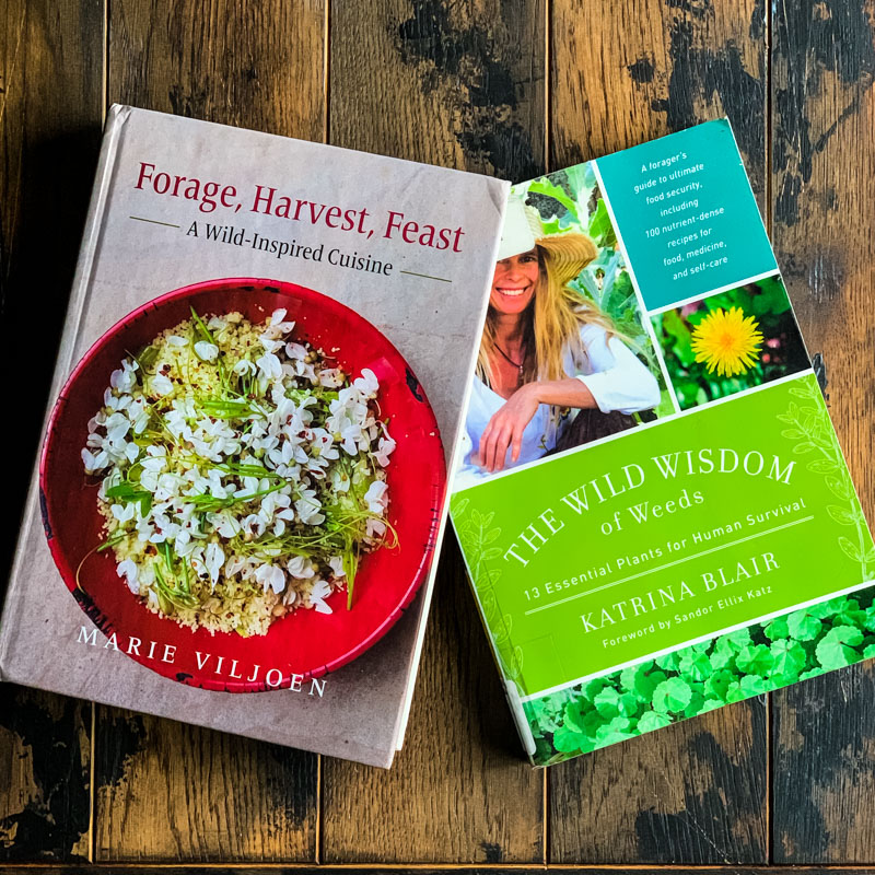 forage, harvest, feast and the wild wisdom of weeds