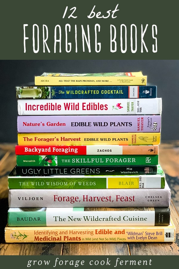 stack of 12 best foraging books