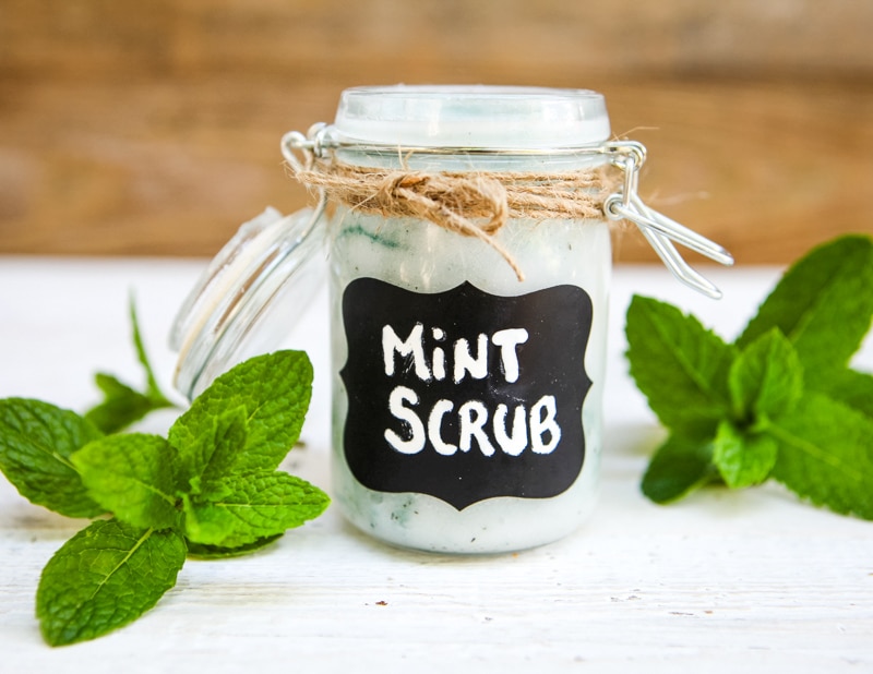 mint scrub for gift giving