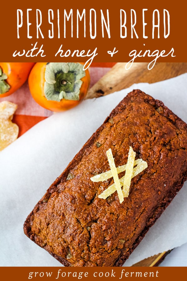 persimmon bread with honey and ginger