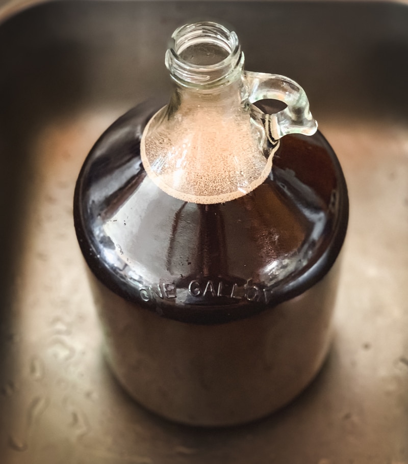 pitching the yeast in a gallon jug